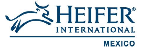 Heifer-Mexico-LogoH_CMYK-gde